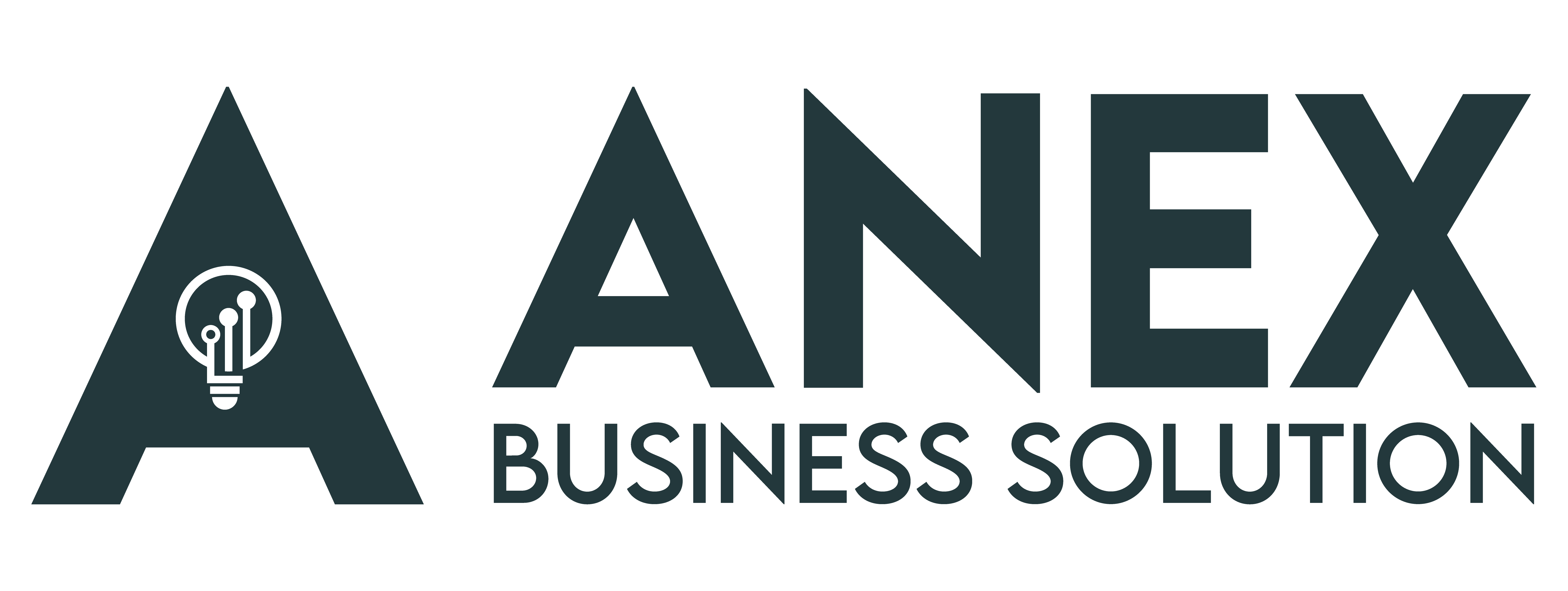ANEX Business Solution